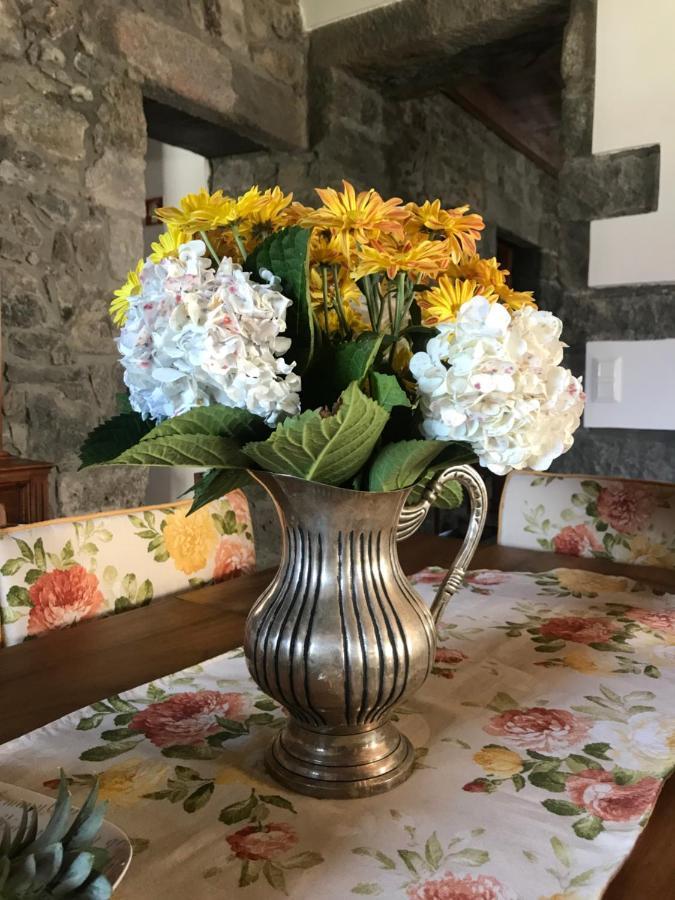 Charming Green Country House Nordestinho 외부 사진