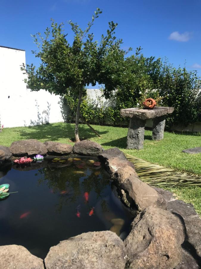 Charming Green Country House Nordestinho 외부 사진